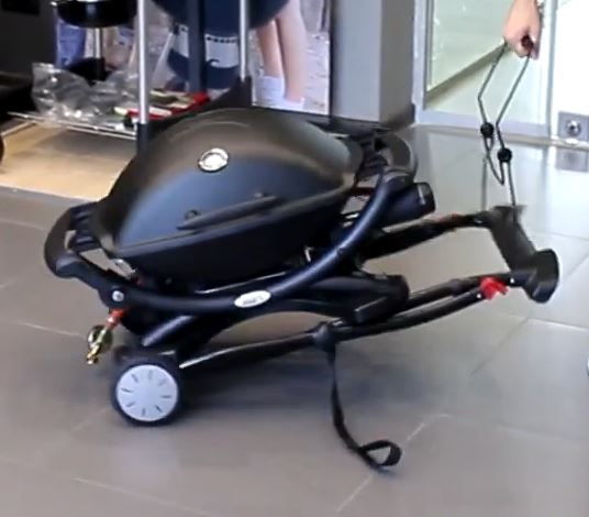 weber Q-2200 on 6557 portable cart