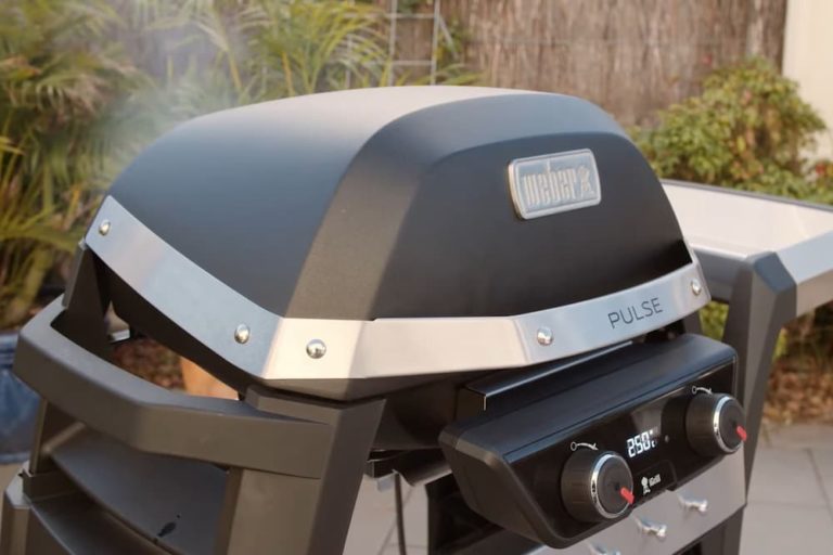 Weber Pulse 1000 and 2000 Electric Grill Review