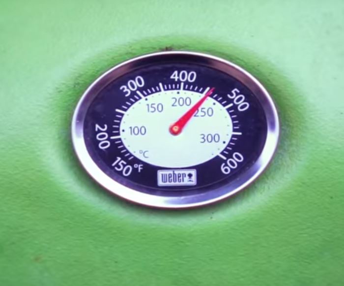 weber q1200 thermometer